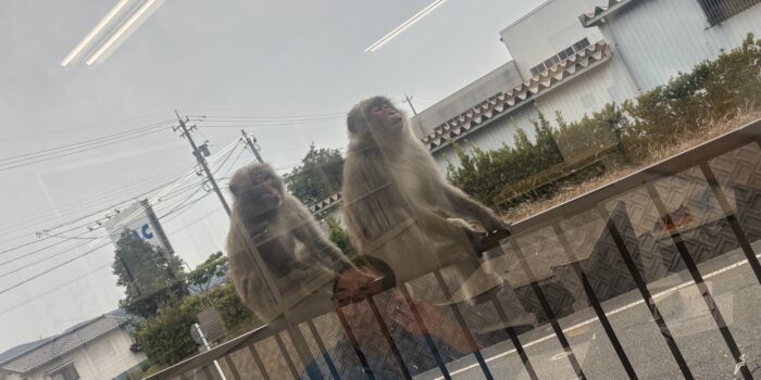 猿知冷頭のようには行かない！？建設業。