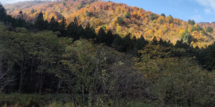 社内安全パトロール