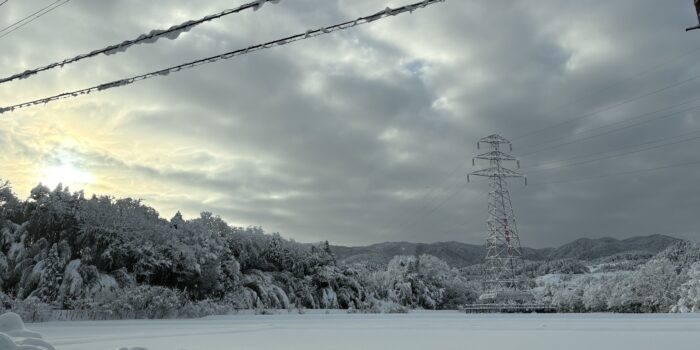 数字で確かめる脱炭素！！